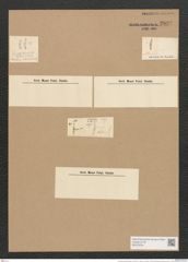 Encyonema gracile Rabenh. (de-Toni-Nr.: Genus 34, Species 1493) Zeichnungen Sammlung Grunow Nr. 2892 (NHMW-BOT-W0370224)